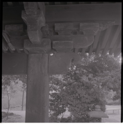 knd_17219(京都府京都市左京区一乗寺竹ノ内町４２)