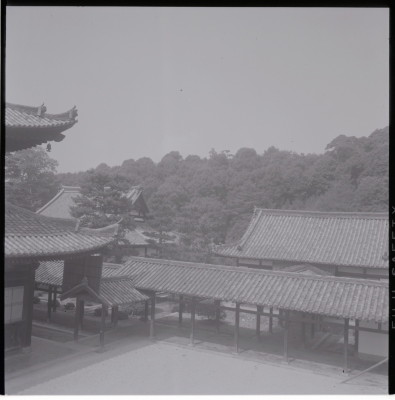 knd_17396(京都府宇治市五ケ庄三番割３４?８)