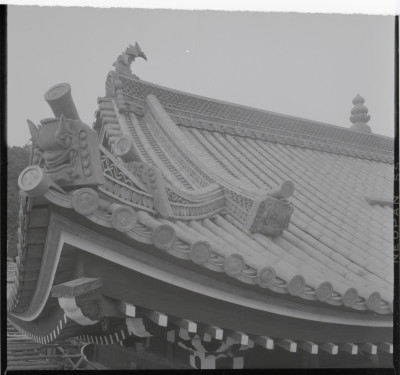 knd_17429(京都府宇治市五ケ庄三番割３４?８)