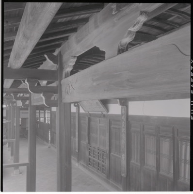 knd_17432(京都府宇治市五ケ庄三番割３４?８)