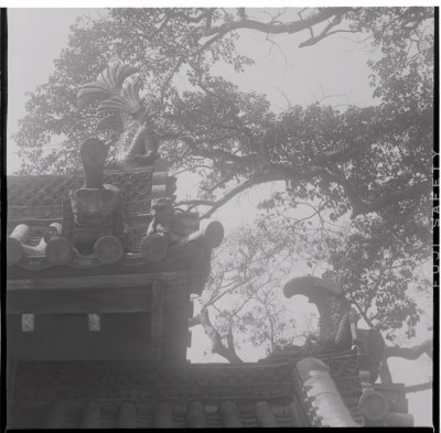 knd_17536(京都府宇治市五ケ庄三番割３４?８)