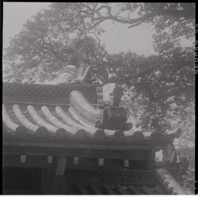 knd_17537(京都府宇治市五ケ庄三番割３４?８)