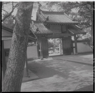 knd_17540(京都府宇治市五ケ庄三番割３４?８)