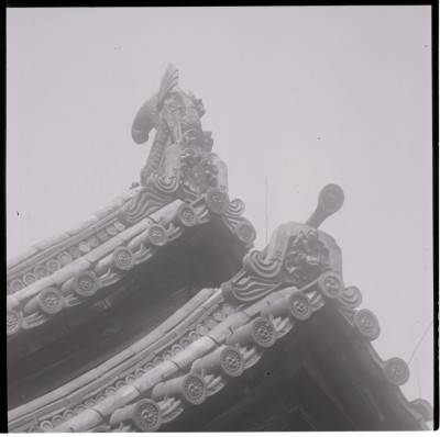 knd_17593(京都府宇治市五ケ庄三番割３４?８)
