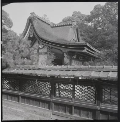 knd_17608(京都府城陽市寺田宮ノ谷)