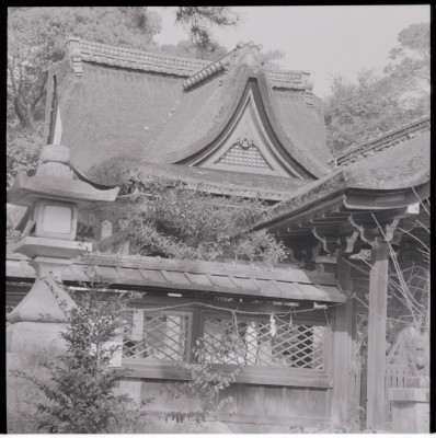 knd_17613(京都府城陽市寺田宮ノ谷)