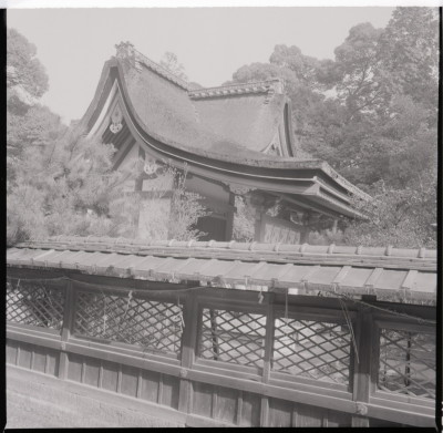 knd_17617(京都府城陽市寺田宮ノ谷)