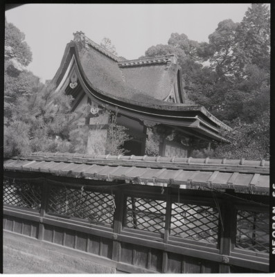 knd_17618(京都府城陽市寺田宮ノ谷)