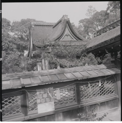 knd_17626(京都府城陽市寺田宮ノ谷)