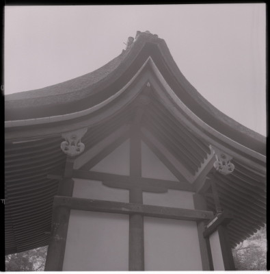 knd_17638(京都府城陽市寺田宮ノ谷)