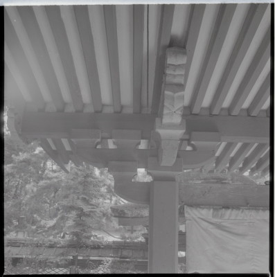 knd_17646(京都府城陽市寺田宮ノ谷)