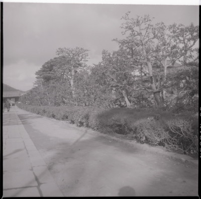 knd_17728(京都府京都市右京区花園妙心寺町３５)