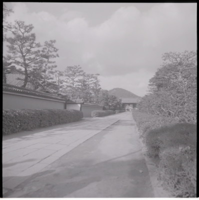 knd_17729(京都府京都市右京区花園妙心寺町３５)