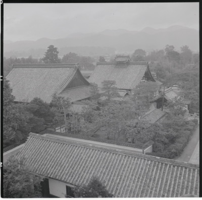 knd_17743(京都府京都市右京区花園妙心寺町)