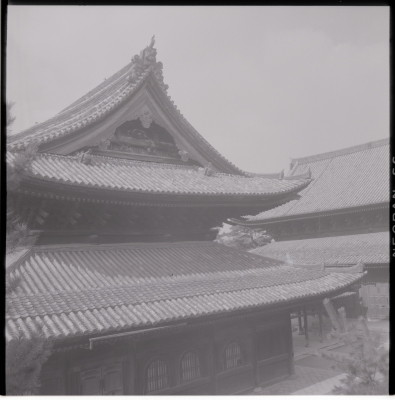 knd_17749(京都府京都市右京区花園妙心寺町３５)