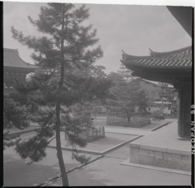 knd_17757(京都府京都市右京区花園妙心寺町６７)