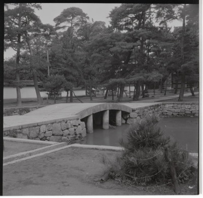 knd_17777(京都府京都市右京区花園妙心寺町)