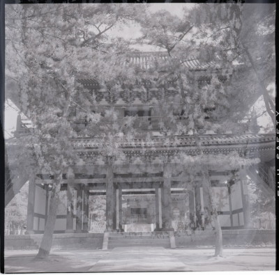 knd_17819(京都府京都市右京区花園妙心寺町６７)