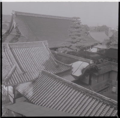 knd_17854(京都府京都市右京区花園妙心寺町３５)