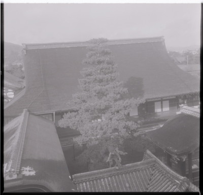 knd_17868(京都府京都市右京区花園妙心寺町３５)