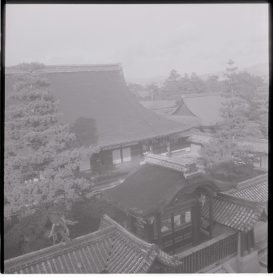 knd_17869(京都府京都市右京区花園妙心寺町３５)