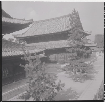 knd_17921(京都府京都市右京区花園妙心寺町３５)