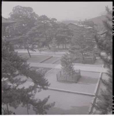 knd_17926(京都府京都市右京区花園妙心寺町３５)
