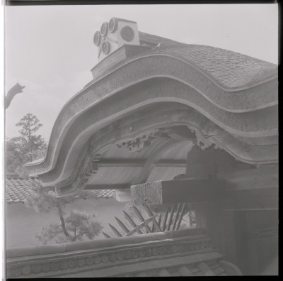 knd_18116(京都府京都市右京区花園妙心寺町６０)