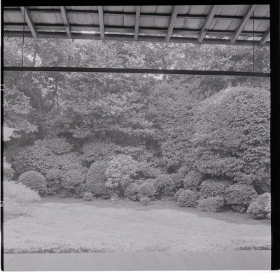 knd_18256(京都府京都市右京区花園妙心寺町３５)