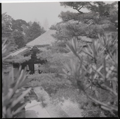 knd_18260(京都府京都市右京区花園妙心寺町４６)