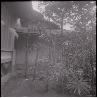 knd_18320(京都府京都市右京区花園妙心寺町４６)
