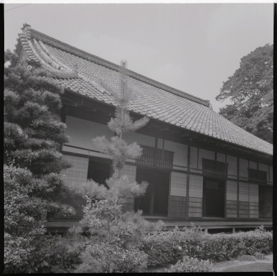 knd_18439(京都府京都市右京区花園妙心寺町６２)
