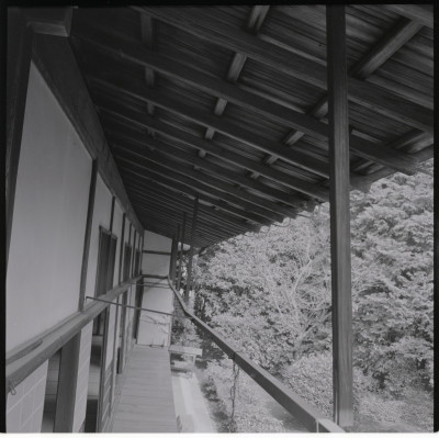 knd_18442(京都府京都市右京区花園妙心寺町６２)