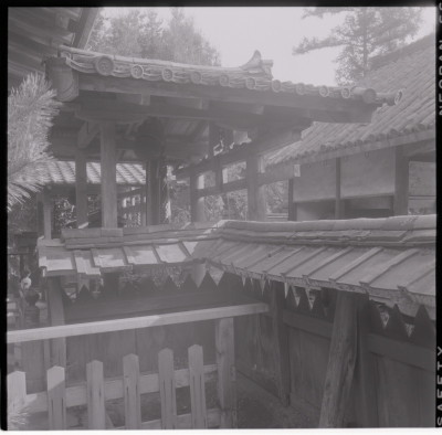 knd_18663(京都府木津川市山城町椿井松尾)