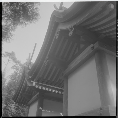 knd_18668(京都府木津川市山城町椿井松尾)