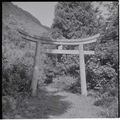 knd_18706(京都府舞鶴市松尾)