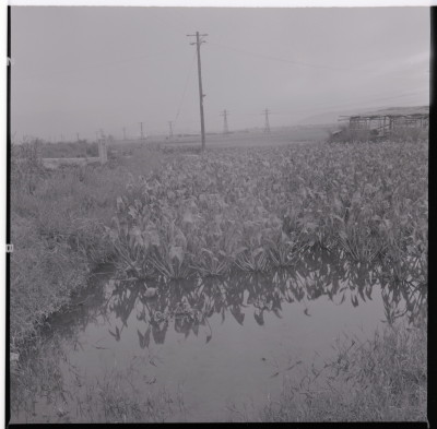 knd_18712(京都府京都市伏見区中島鳥羽離宮町)