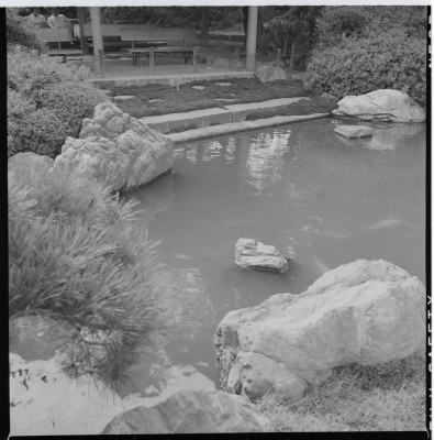 knd_18737(京都府京都市伏見区中島鳥羽離宮町)