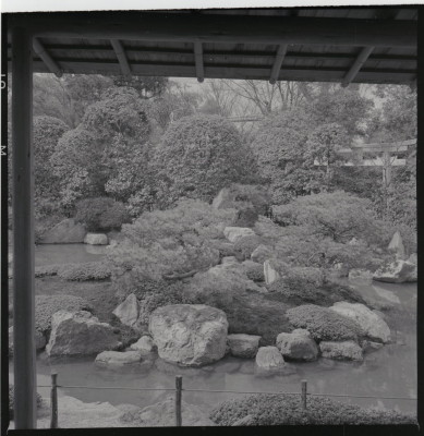 knd_18754(京都府京都市伏見区中島鳥羽離宮町)