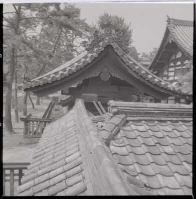 knd_18758(京都府京都市右京区花園妙心寺町６５)