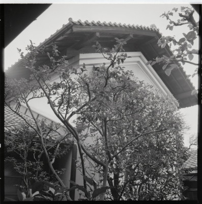 knd_18816(京都府京都市右京区花園妙心寺町６５)