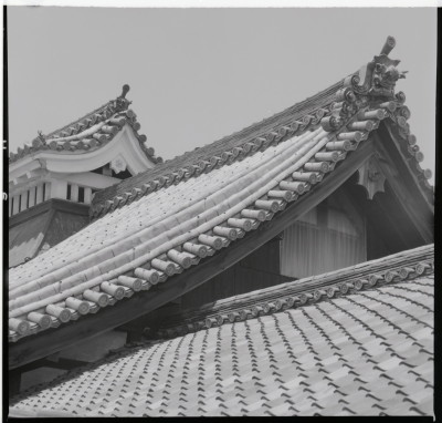 knd_18826(京都府京都市右京区花園妙心寺町６５)