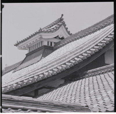 knd_18827(京都府京都市右京区花園妙心寺町６５)