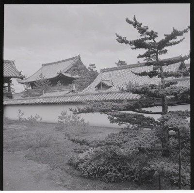 knd_19016(京都府京都市右京区花園妙心寺町３９)