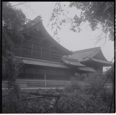 knd_19267(京都府向日市向日町北山)