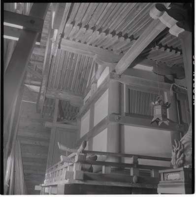 knd_19273(京都府向日市向日町北山)