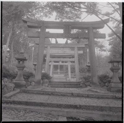 knd_19317(京都府向日市向日町北山)