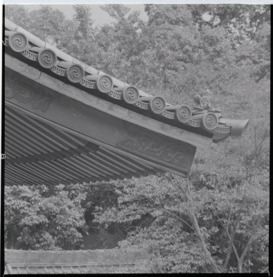 knd_19345(京都府京都市東山区祇園町北側)