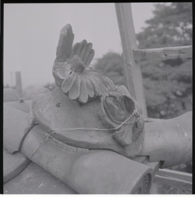 knd_19366(京都府京都市東山区祇園町北側)