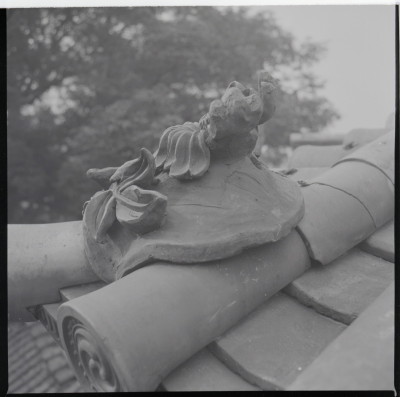 knd_19369(京都府京都市東山区祇園町北側)